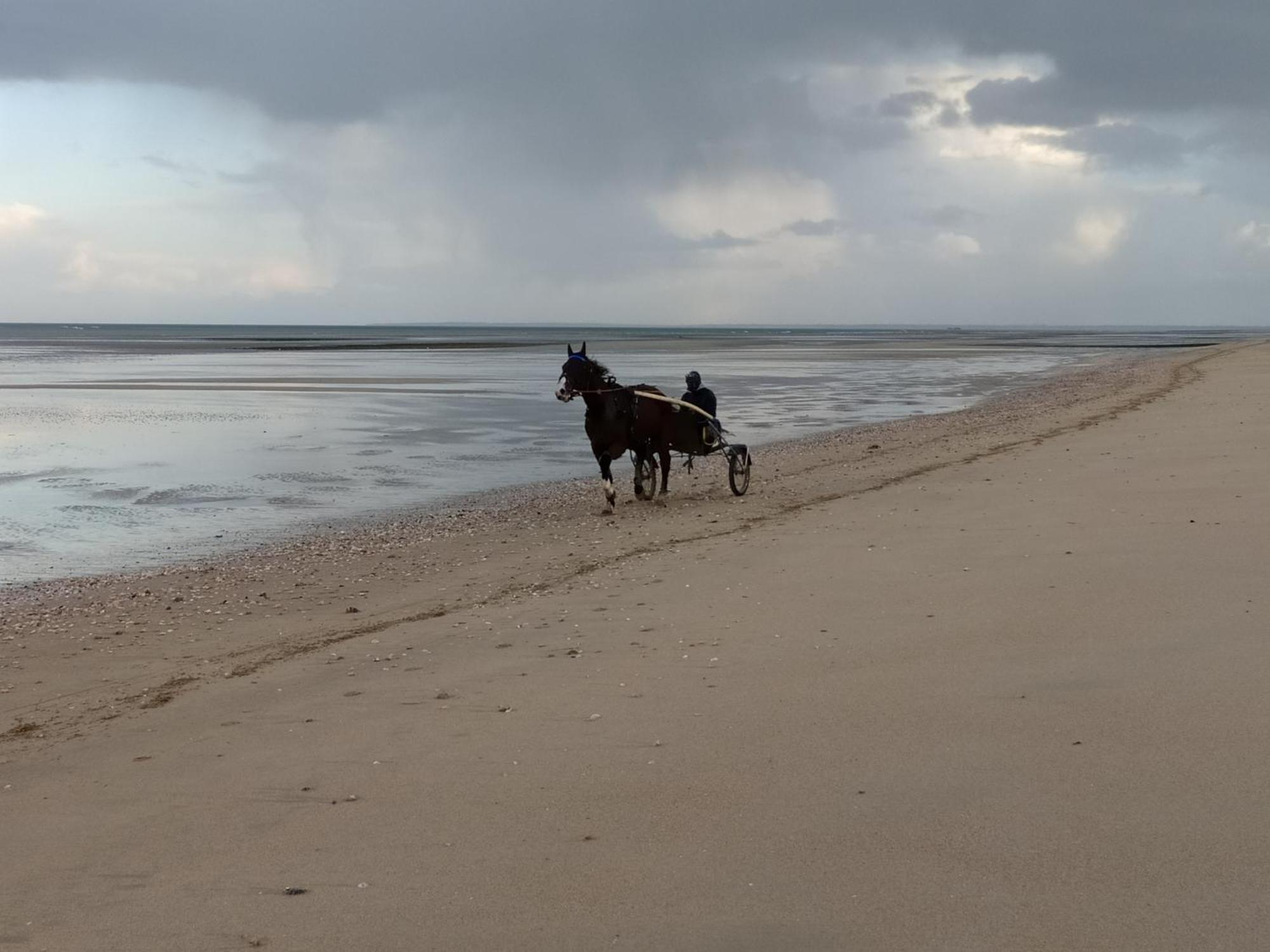 Gites En Normandie En Front De Mer A Asnelles , 3Km D'Arromanches, 10Km De Bayeux Ngoại thất bức ảnh